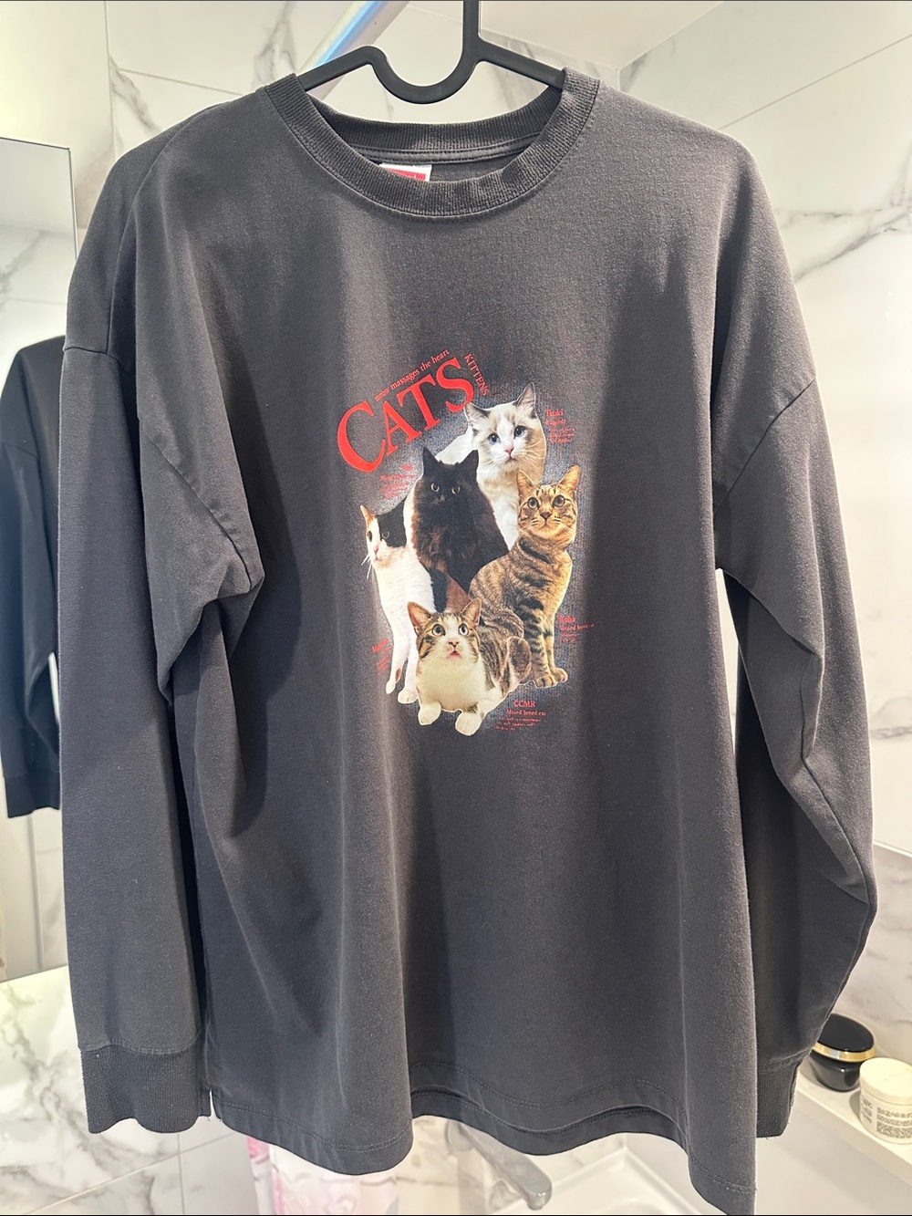 Japanese Fashion Brand Niko andCats Graphic Long-Sleeve Crewneck for Cats Lovers